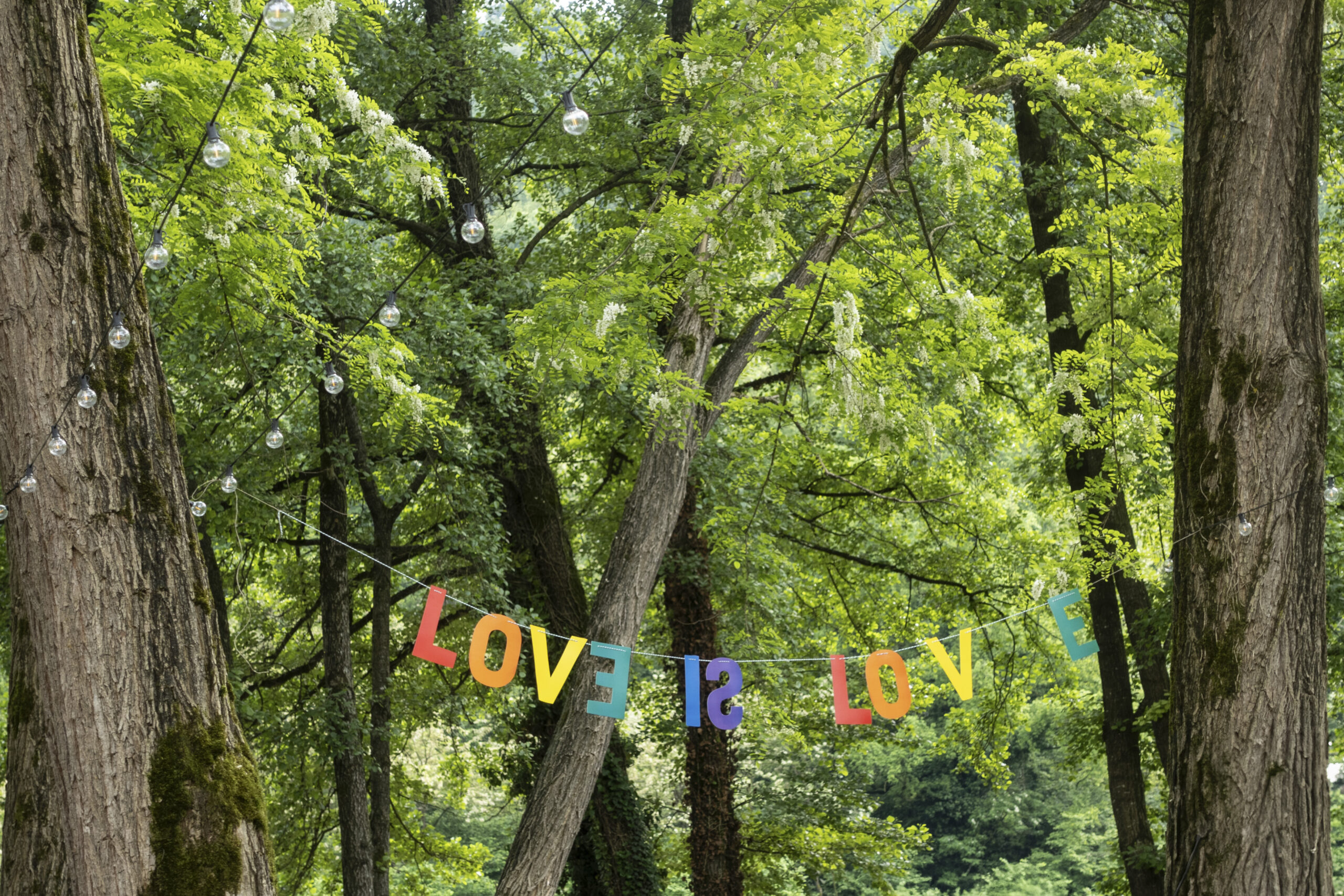 Alberto, 2024 RI-SCATTI. SOMEBODY TO LOVE, 2024 PAC Padiglione d’Arte Contemporanea, Milano.