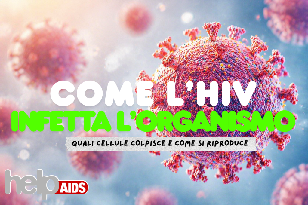 Come hiv infetta organismo